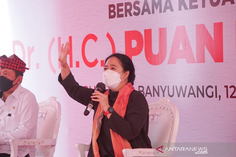 Ketua DPR Puan Maharani. (Foto: Antara)