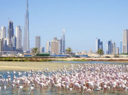 Destinasi Wisata di Dubai yang Wajib Dikunjungi