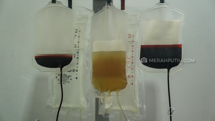 Stok Plasma Konvalesen di PMI Kota Bandung Kini Tersedia, meski Terbatas