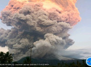 Gunung Lewotobi Laki-laki Erupsi, Polda NTT Tutup Akses Jalan Maumere-Larantuka