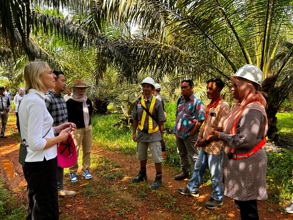 Petani Sawit Swadaya Harus Rasakan Dampak Implementasi B40