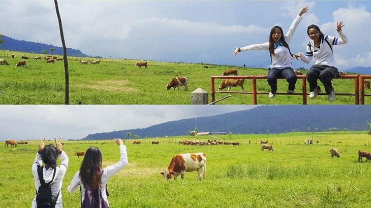 Suasan di objek wisata Padang Mengatas, Payakumbuh. (Instagram/@nurulhidayat2011)