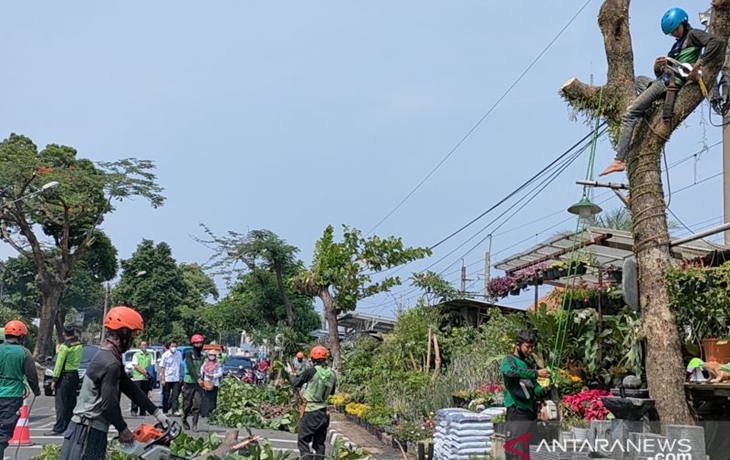 Ratusan Pohon Ditebang Imbas Proyek MRT Fase 2A Stasiun Glodok sampai Kota
