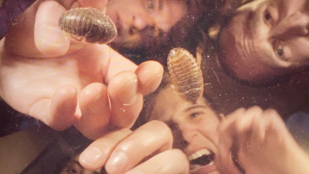 Crumb Ceritakan si Pengganggu dalam ’The Bug’