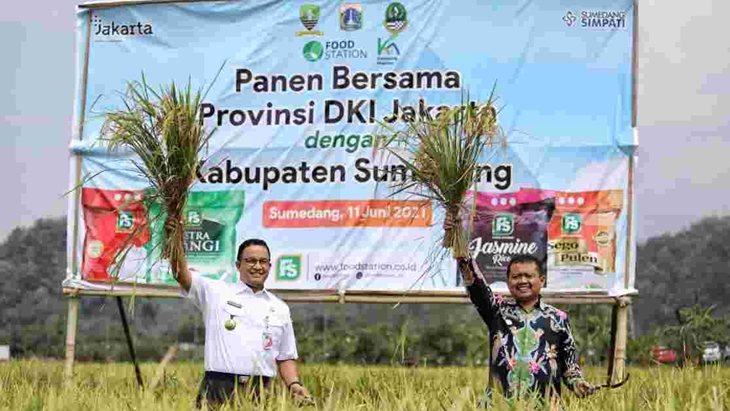 Panen Raya di Sumedang, Anies: Semoga Petani Jadi Sejahtera
