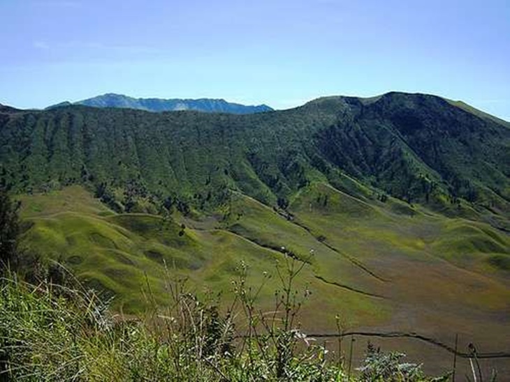 hutan taman nasional Lorentz