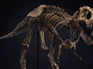 Kerangka T-Rex Dilelang Seharga Rp89 Hingga Rp118 Miliar, Berminat?