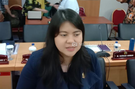 Eks Staf Ahok: Anies Kebobolan