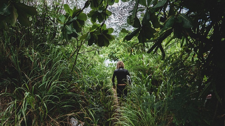 Viral! Takut Tertular Virus Corona, Keluarga Ini Melarikan Diri Ke Hutan