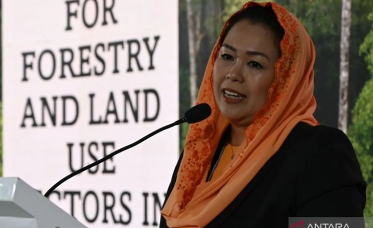 Yenny Wahid: Indonesia Harus Segera Dorong Perdamaian Palestina-Israel ke DK PBB