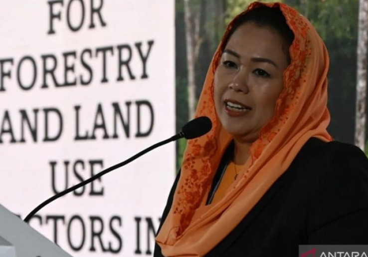 Yenny Wahid Tidak Bisa Menerima jika Ditawari Jabatan Komisaris BUMD DKI