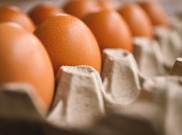 PKS Usulkan Solusi Atasi Meroketnya Harga Telur