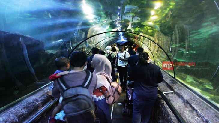 wisata bawah laut Ancol