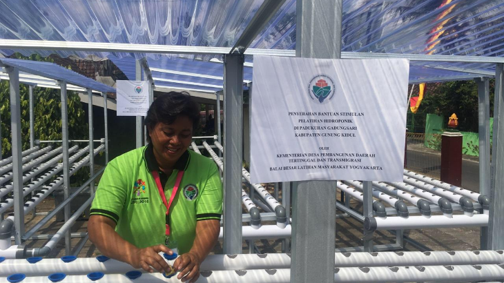Kemendes Latih Warga Wonosari Tanam Hidroponik