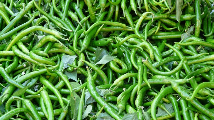 Cabe Hijau memiliki Zat Antioksidan dan Antiinflamasi