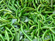 Cabe Hijau memiliki Zat Antioksidan dan Antiinflamasi