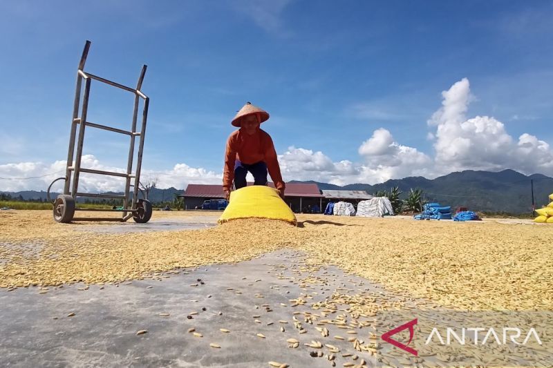 Seperempat Miliar Orang Hadapi Tingkat Kelaparan Akut