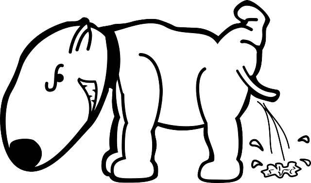 Sediakan underpad (Sumber: Pixabay/Clipart-Vectors)