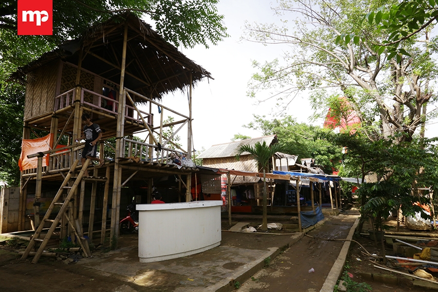 Budidaya Cacing Sutera Tangerang