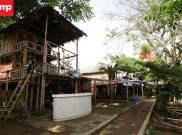 Budidaya Cacing Sutera Tangerang