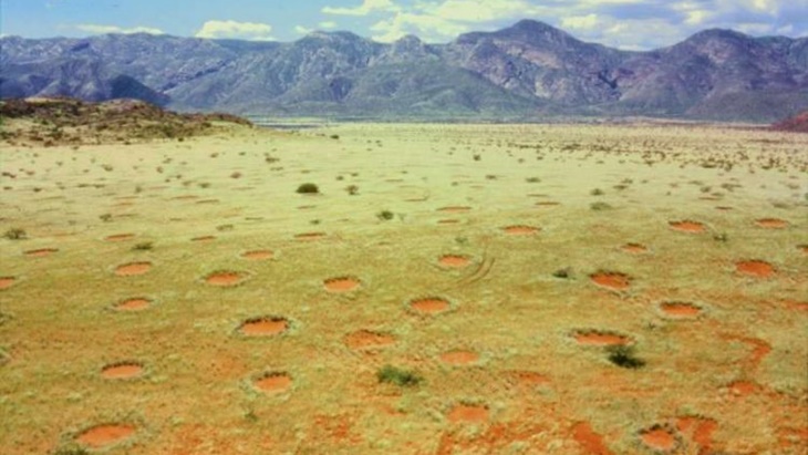 Fenomena 'Lingkaran Peri' nan Misterius di Namibia