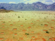 Fenomena 'Lingkaran Peri' nan Misterius di Namibia