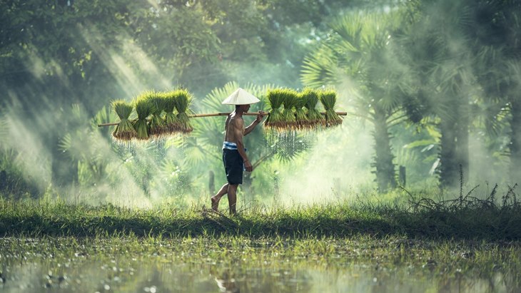 Yang Paling Doyan Ternyata Petani