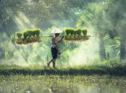 Yang Paling Doyan Ternyata Petani