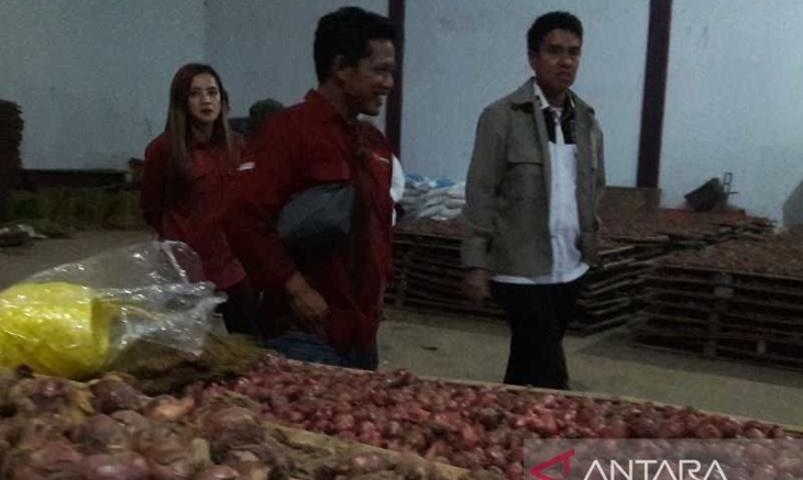 Kementan Pastikan Stok Bawang dan Cabai Aman Jelang Bulan Puasa