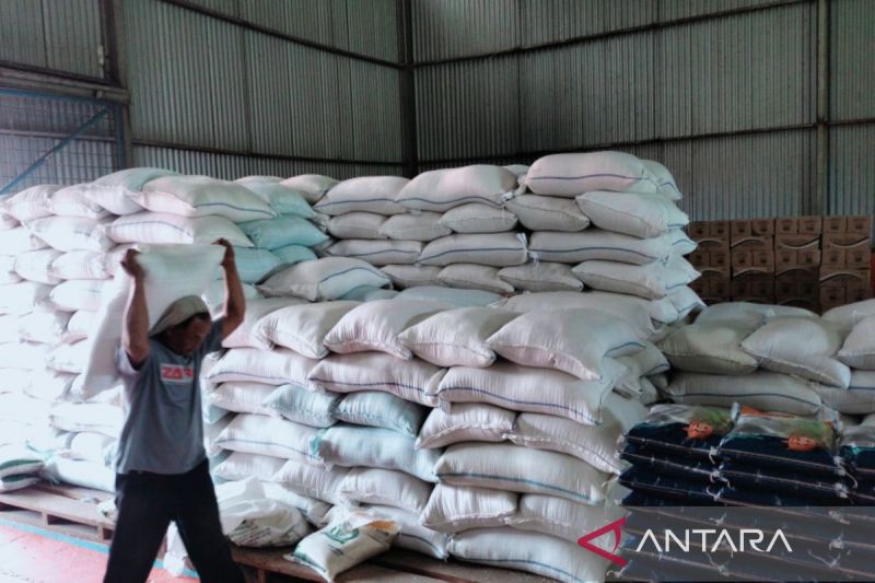 Harga Beras Merangkak Naik, Badan Pangan Minta Warga Bijak Berbelanja