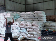 Harga Beras Merangkak Naik, Badan Pangan Minta Warga Bijak Berbelanja