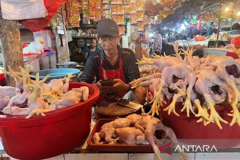 Arsip foto - Pedagang daging ayam ras menjual dagangannya di Pasar Minggu, Jakarta Selatan, Senin (17/2/2025) sore. ANTARA/
