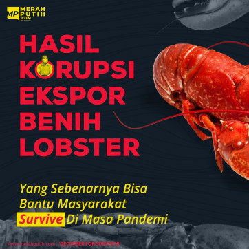 Hasil Korupsi Ekspor Benih Lobster
