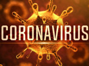 Gejala, Pencegahan, serta Asal Virus Corona yang Mematikan