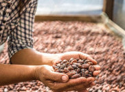 Pipiltin Cocoa Semangat Jaga Kualitas Produk dan Pemberdayaan Petani Lokal