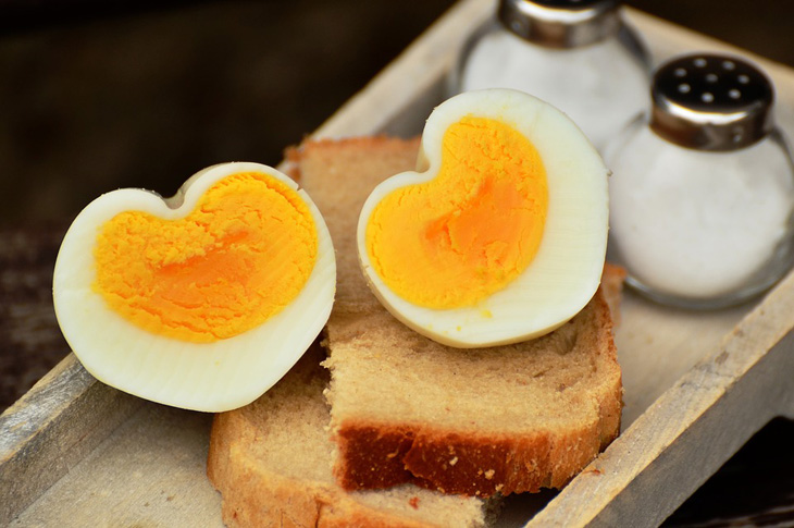 egg
