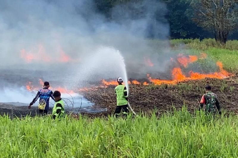 Musim Kering, BNPB Tak Ingin Karhutla Terulang Seperti di 2015