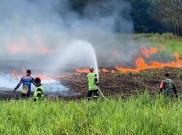 Musim Kering, BNPB Tak Ingin Karhutla Terulang Seperti di 2015