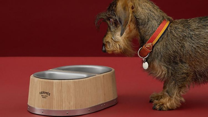 Tempat Makan Anjing dari Hermes buat Anabul Sultan