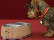 Tempat Makan Anjing dari Hermes buat Anabul Sultan