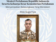 Gugurnya Praka Rico di Lebanon, DPR Desak PBB Evaluasi UNIFIL