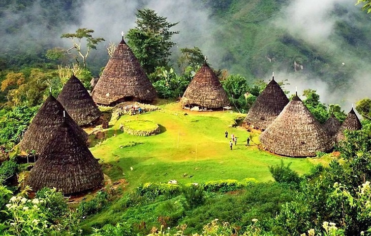 desa wisata