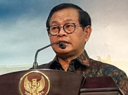 Ancaman Papua Viral, Begini Tanggapan Pemerintah