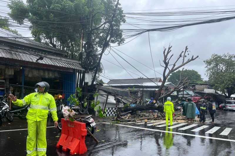 76 Kejadian Bencana Alam Hantam Bali Kurang dari 24 Jam, Denpasar Terparah!