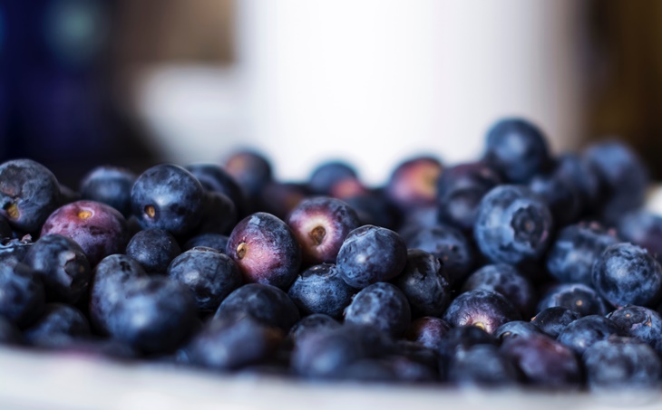 bilberry