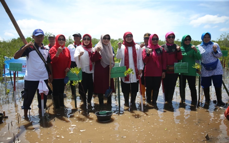 Penamaman 5000 pohon Mangrove