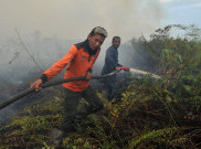 DPR Ungkit Borok Badan Restorasi Gambut Picu Parahnya Kebakaran Hutan