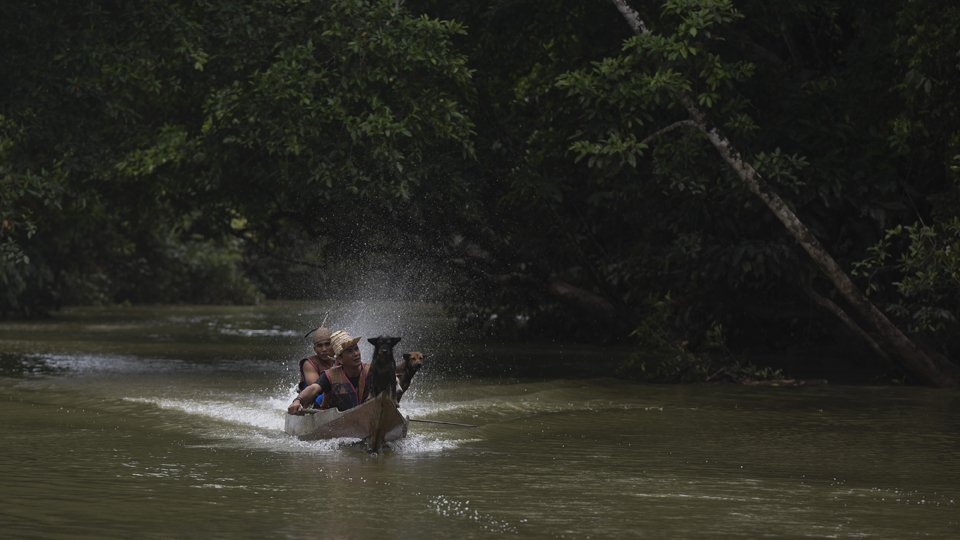 Dengan menggunakan perahu bermotor, sejumlah pemuda Dayak Kenyah Uma'lung menuju hutan adat Tana' Ulen. Hutan ini sangat mereka hormati dan dijaga kelestariannya. (ANTARA FOTO/Zabur Karuru)