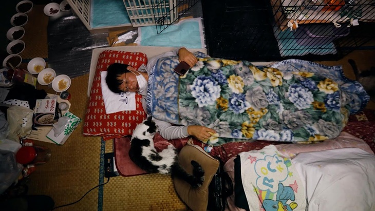 Sakae Kato Tinggal di Fukushima demi Kucing Terlantar