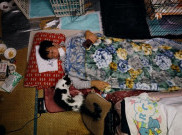 Sakae Kato Tinggal di Fukushima demi Kucing Terlantar